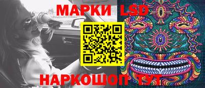 стафф Шелехов