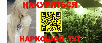 стафф Шелехов