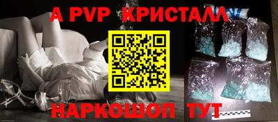 стафф Шелехов