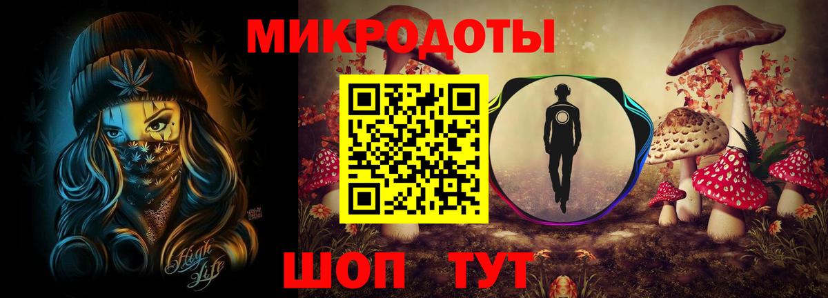 Псилоцибиновые грибы Cubensis Курчалой