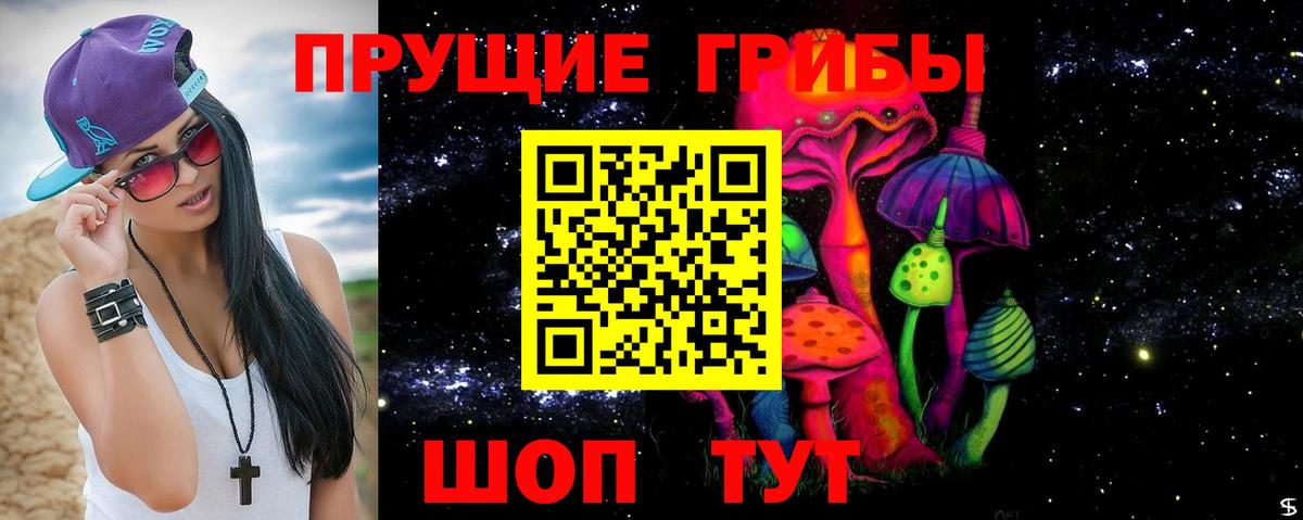 Курчалой  Псилоцибиновые грибы ЛСД  Псилоцибиновые грибы Psilocybine cubensis  сколько стоит  Вход с VPN 